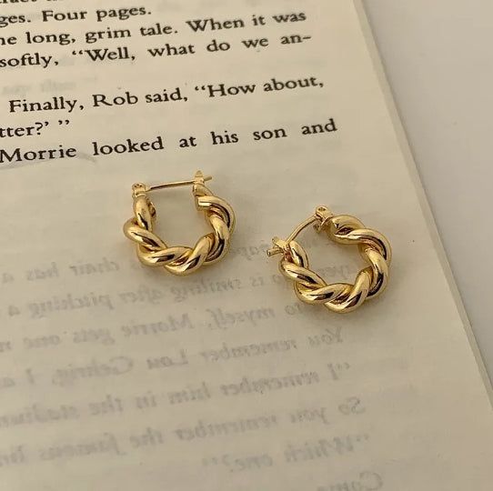 Fried Dough Twists Earrings